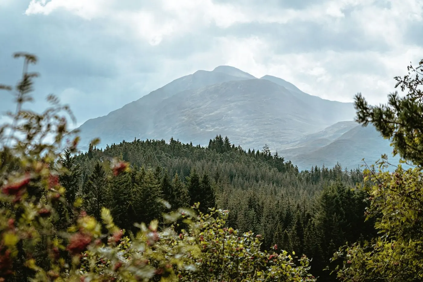 Mindful Presence in the Highlands: Embracing Stillness