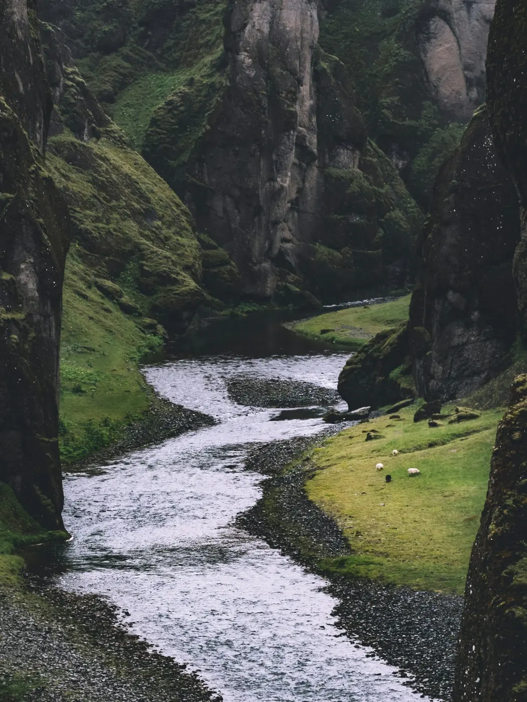 The Flow of the River Tay: Letting Go of Anxiety